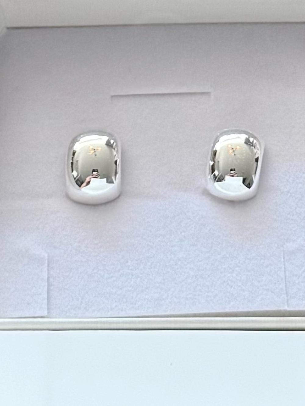 Heaven Mayhem Ky Hoop Smooth Earrings Silver NIB